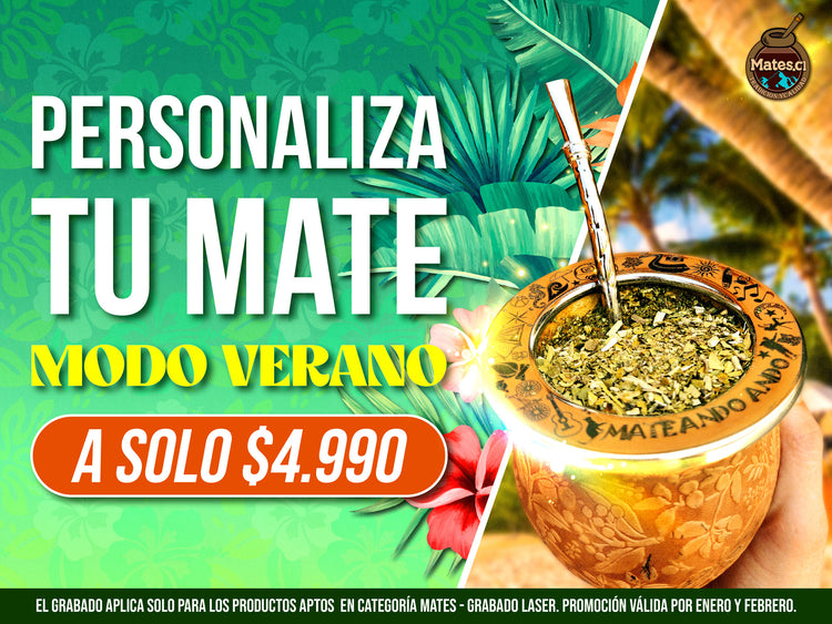 Set De Mate Juego Completo Termo Premium Bolso Kit Mate Madu